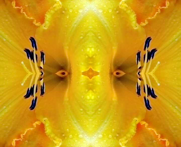 Wormhole