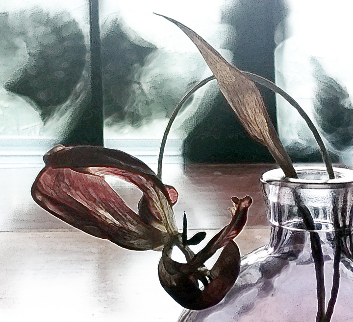 Thanatopsis II