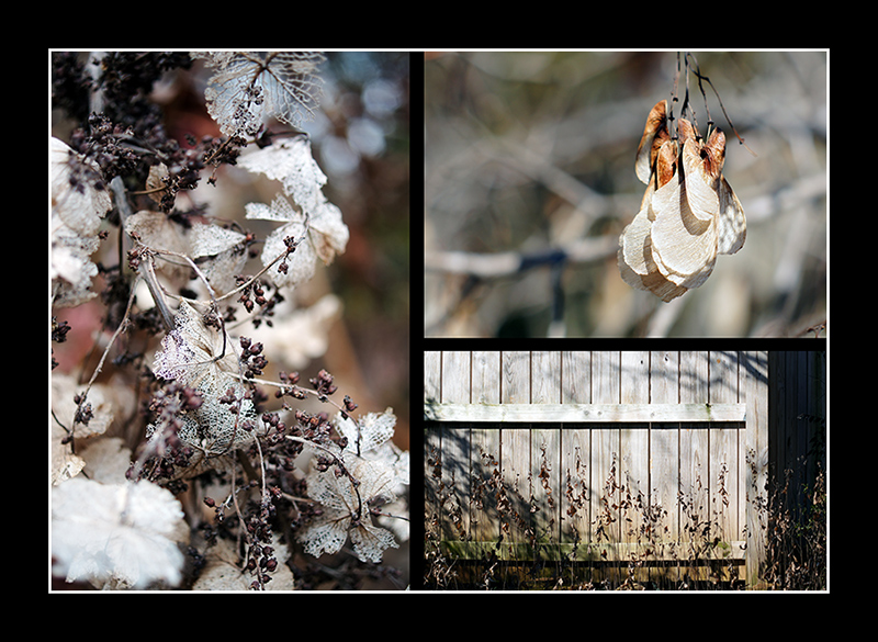 Winter Solstice Flower Power