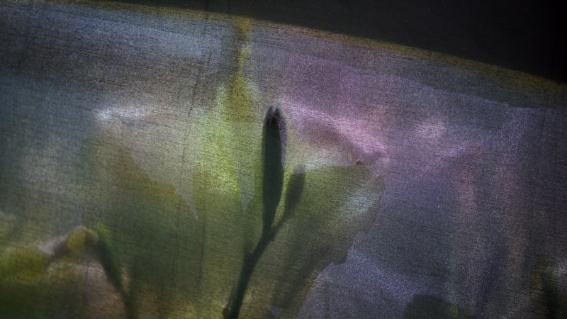 07252Umbrella