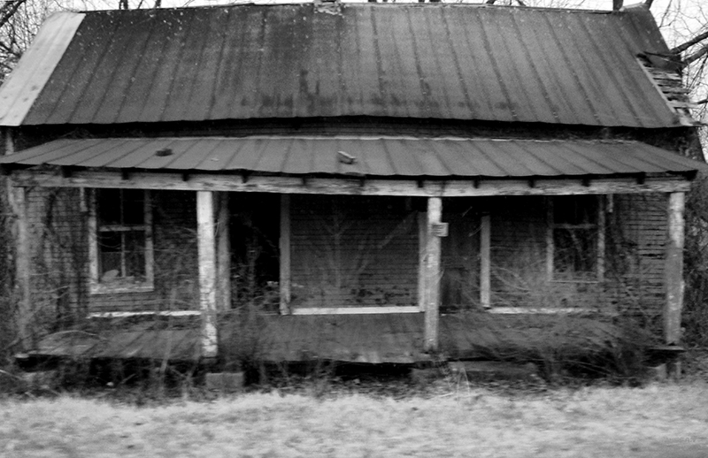 1030817 - The Back 40 is Still a Cotton Field