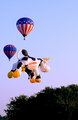 When-cows-fly.jpg