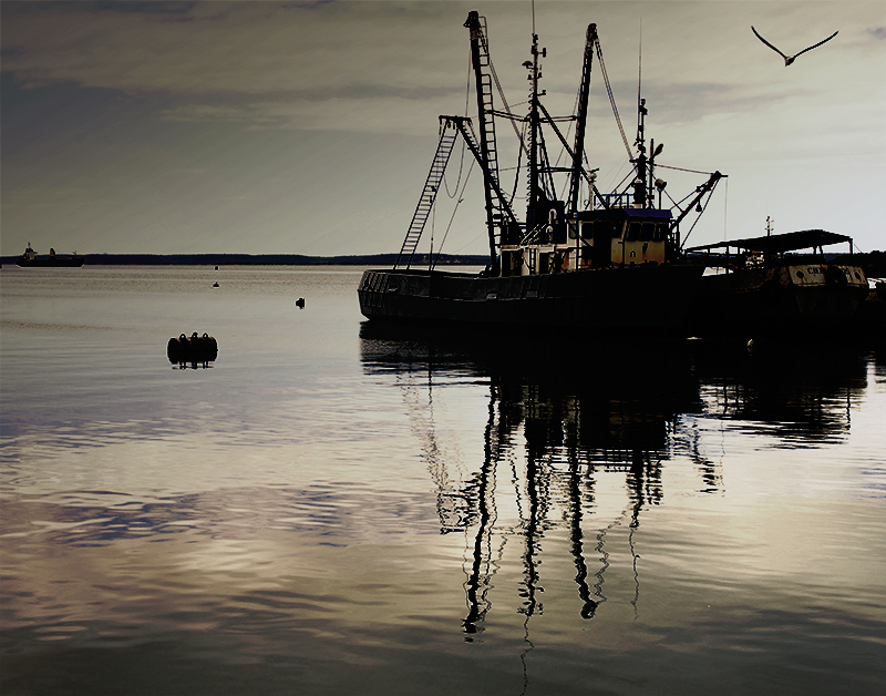 sea scape 1074366