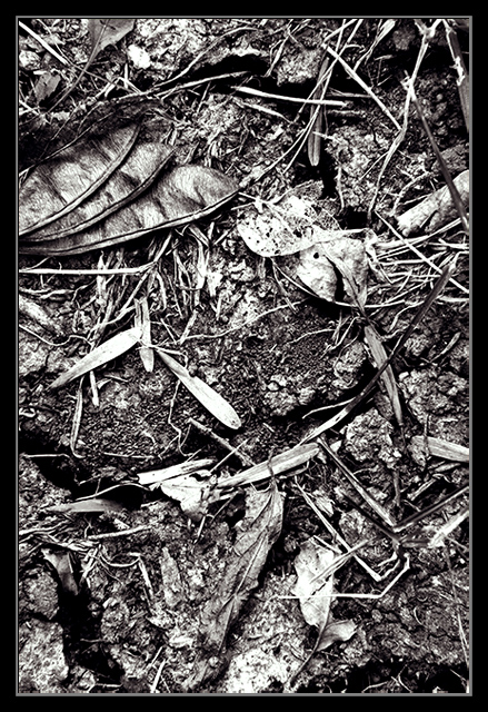 bw-Day-4.jpg