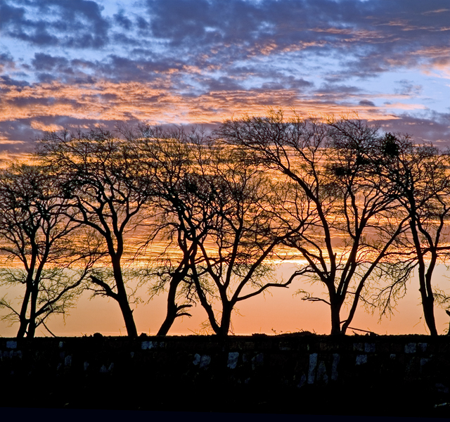 New Day Dawning