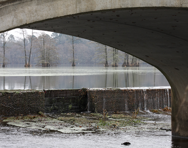 under-bridge-8056.jpg