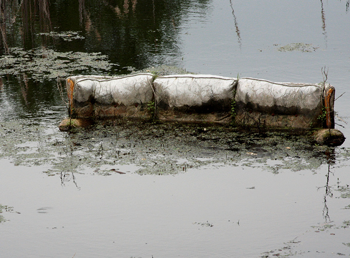 High Tide and Low Hope