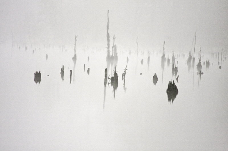 "Ink Blot" in fog