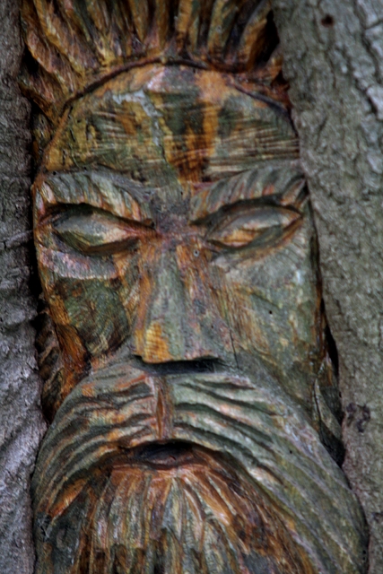 tree man closeup.JPG