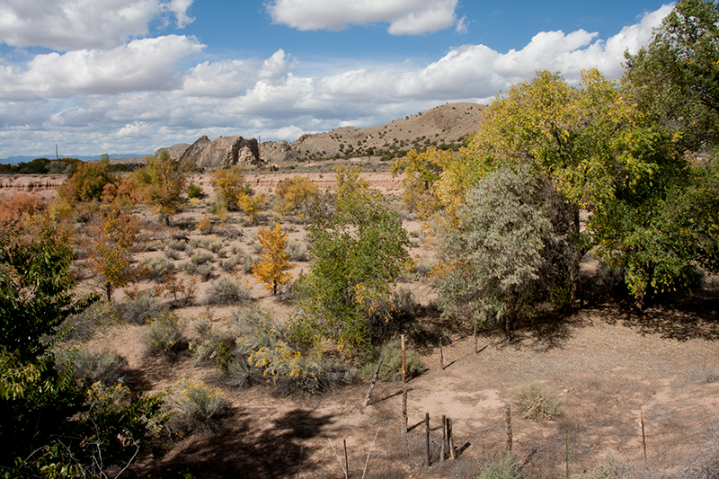 Somewhere in the NM desert