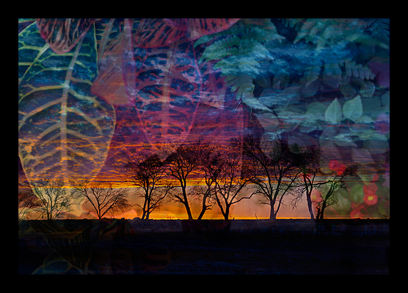 overlay-_MG_7423