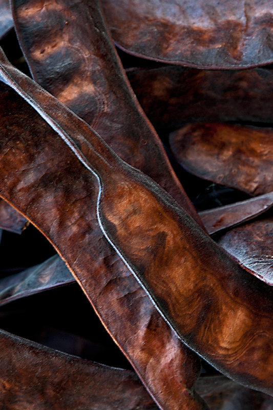 rotate-Seeds-IMG_0242