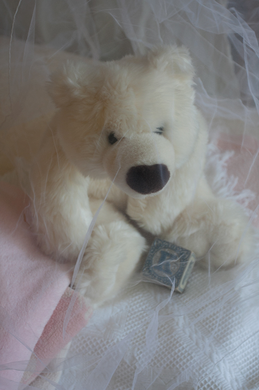 Baby Bear