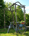 Bicycle and Arbor