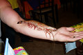 Yummy Shrimp!!!