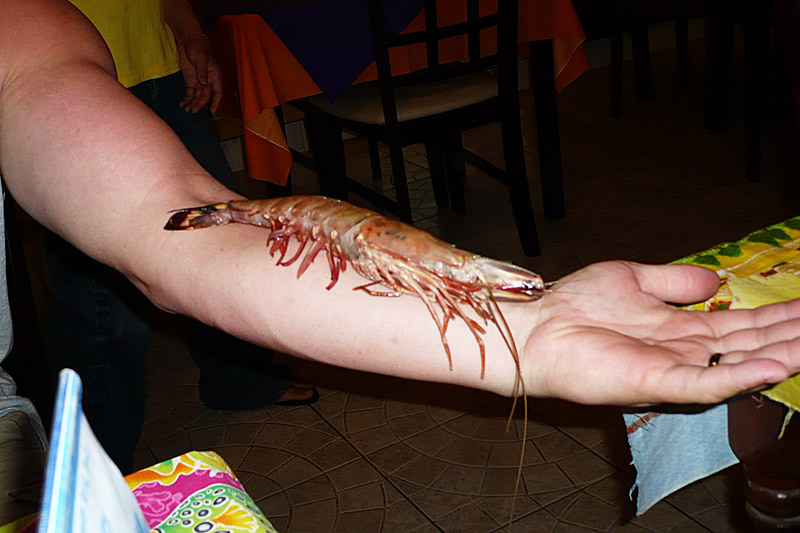 Yummy Shrimp!!!