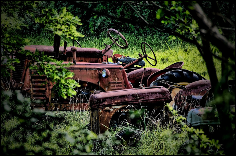 Tractors in the Glade
