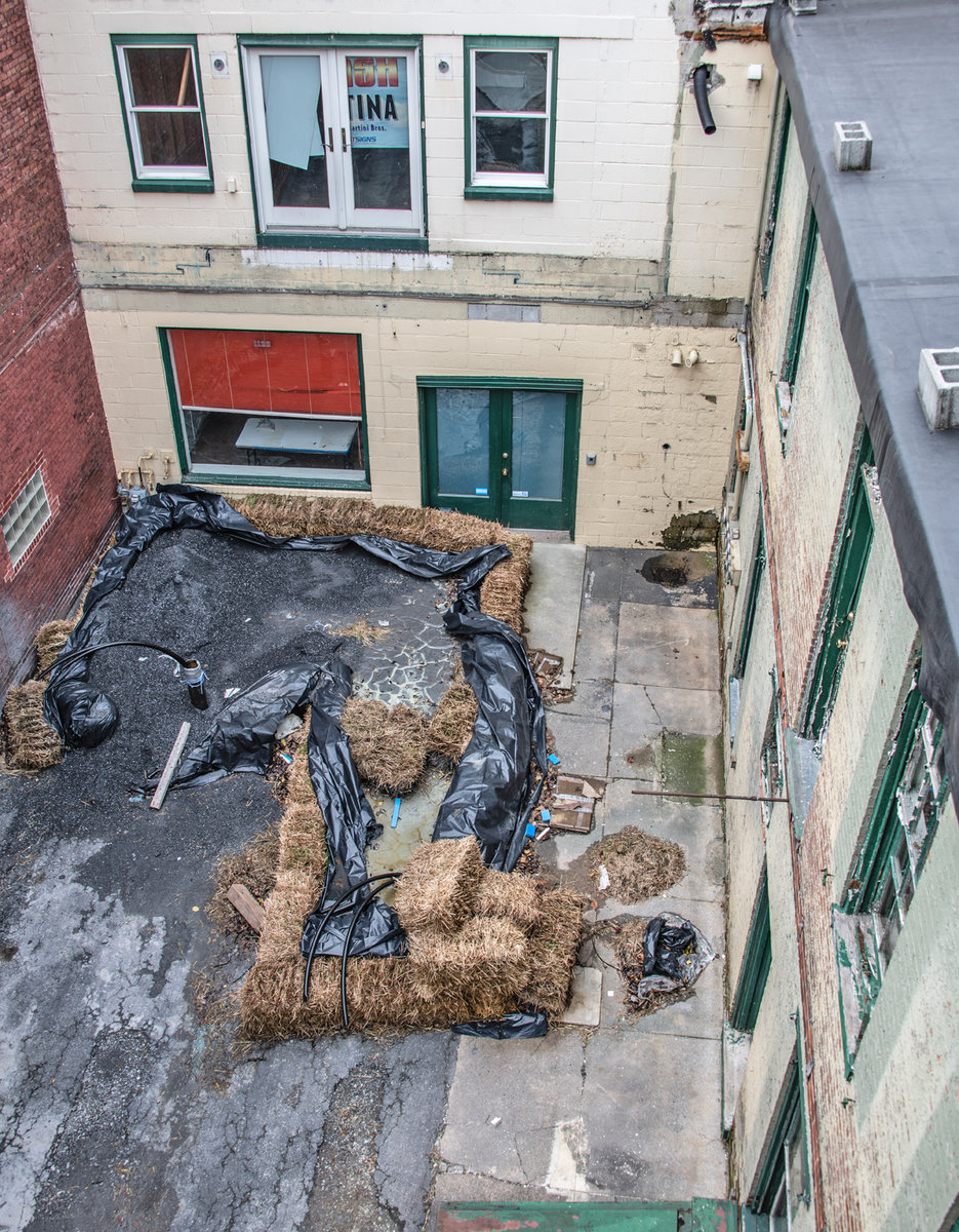 Courtyard 4