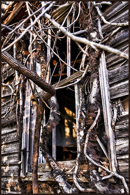 Window