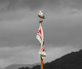Seagull
