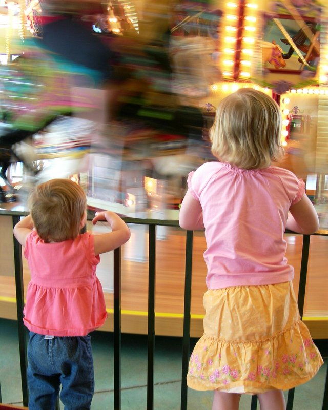 carousel fascination crop.jpg