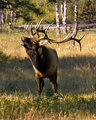 DSC_8089_edited-1.jpg
