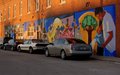 _DSC4086_day16.JPG