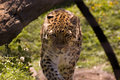 DSC_5719.jpg
