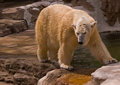 DSC_5847.jpg