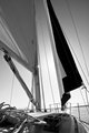sailing 11-03-7679.jpg