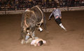 bull blast-4970.jpg