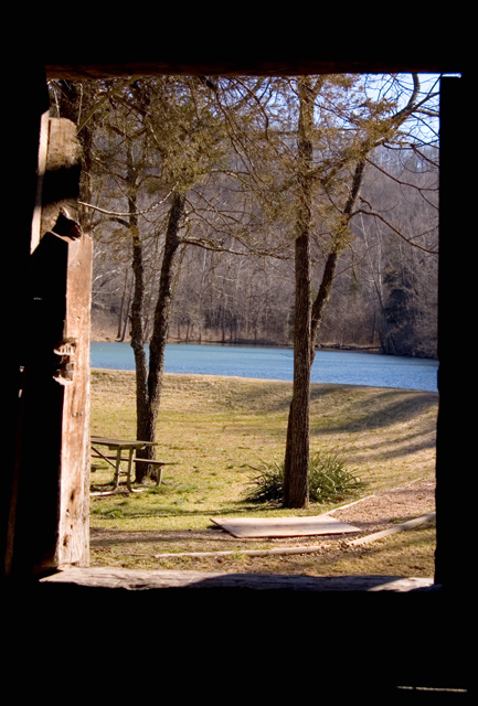 _DSC4623.window_trees.jpg