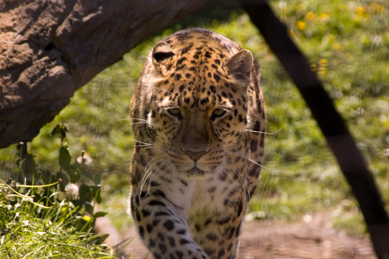 DSC_5719.jpg
