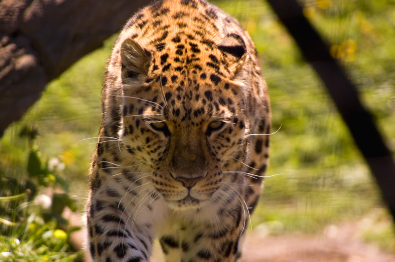 DSC_5726.jpg