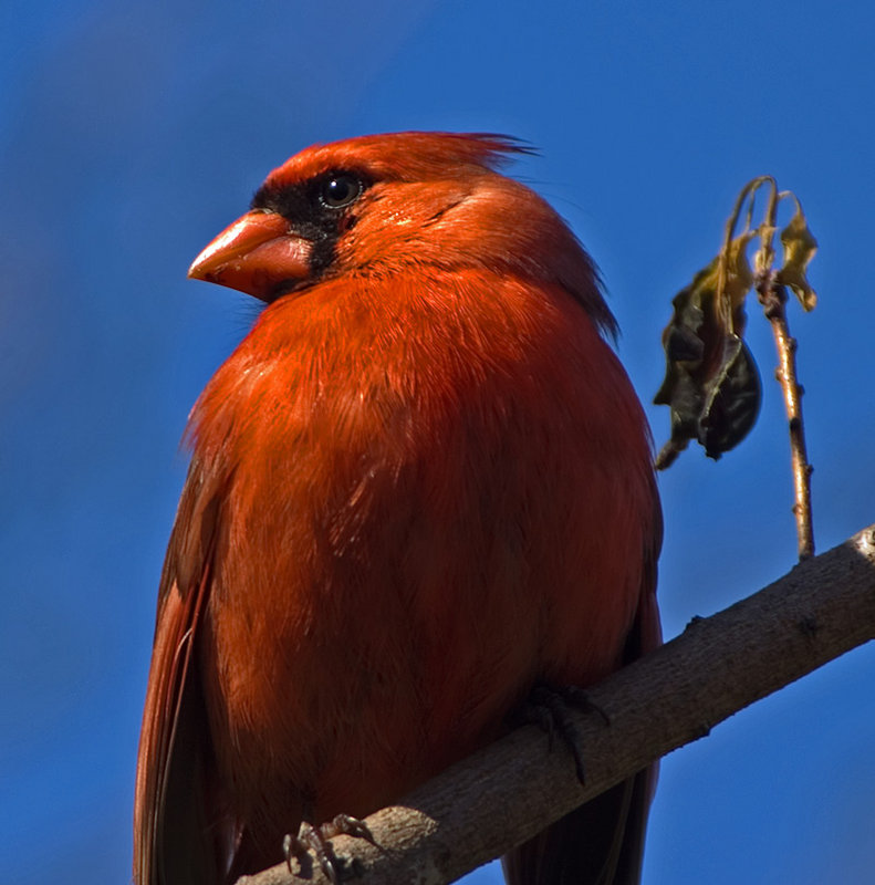 DSC_5645.jpg