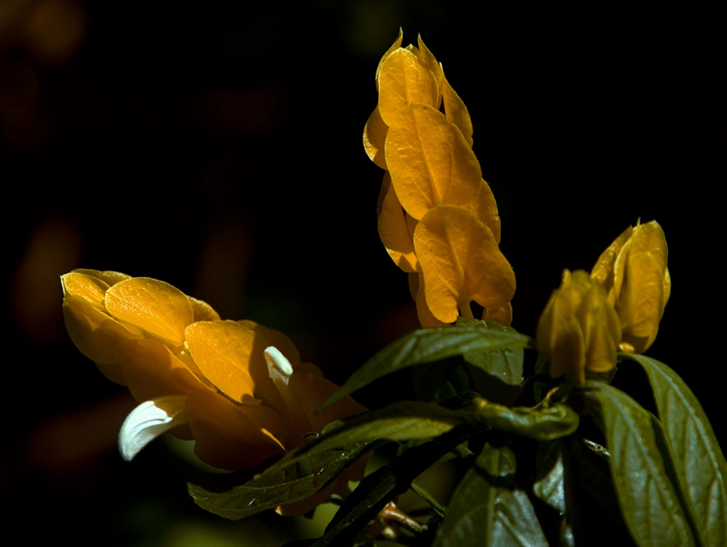 DSC_5701.jpg