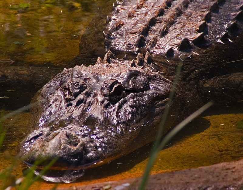 DSC_5709.jpg