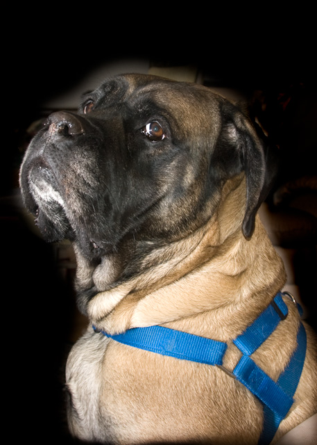 Bea_1343.jpg