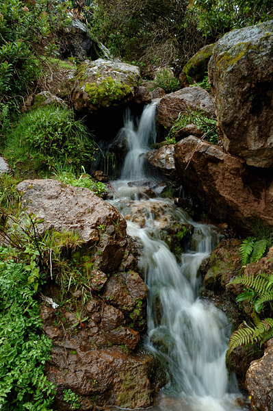 Stream