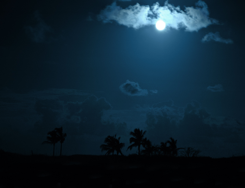 Singer Island Night