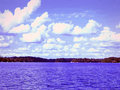 Summer Day