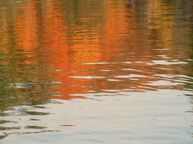 Fall Beauty