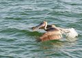 DSC_0435a.jpg