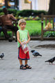 Boy Feeding Birds_1.jpg