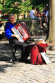 Musician with Harmonica_1.jpg