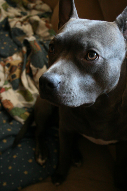Kaya 2
