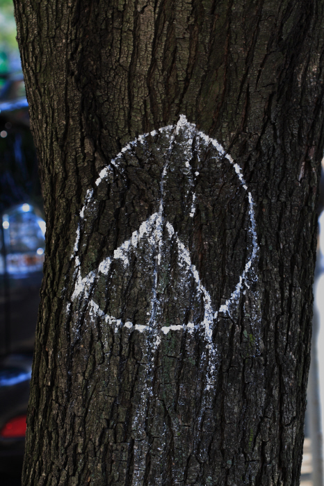 peace_1.jpg