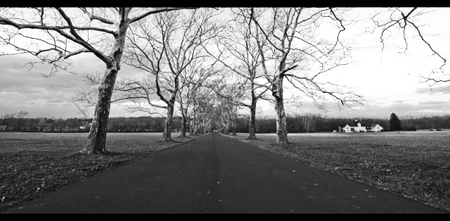 day 1... The long road