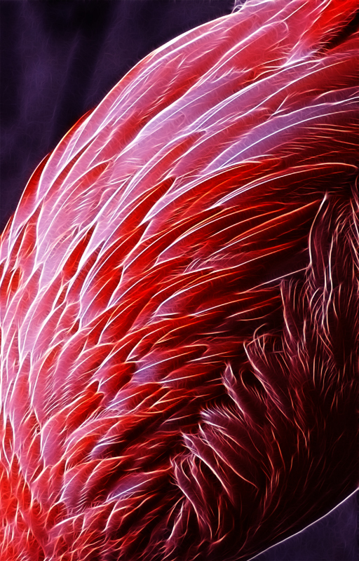 Flora