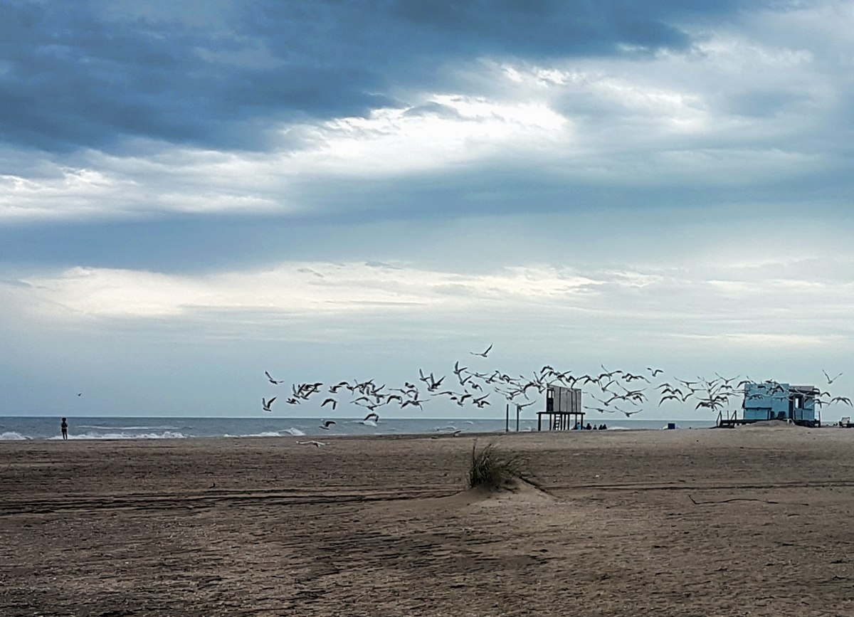 norte